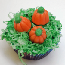 pumpkin patch cupcake