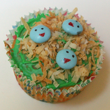 Baby bird cupcake